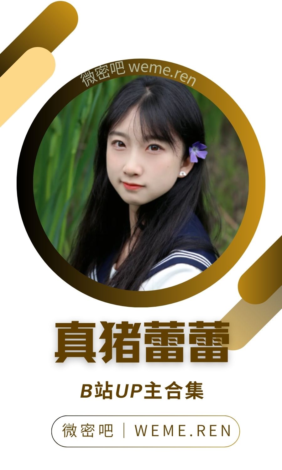 B站「真猪蕾蕾」作品高质量备份打包